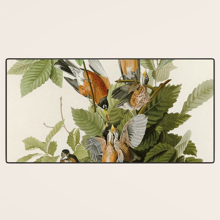 American Robin - John James Audubon Birds of America Desk Mat Gallery Image 3
