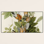 American Robin - John James Audubon Birds of America Desk Mat Gallery Image 3