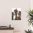 Redwoods National Park Wanderlust Adventure VI Poster Gallery Image 2