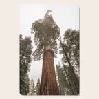 Redwoods National Park Wanderlust Adventure VI Cutting Board Gallery Image 1