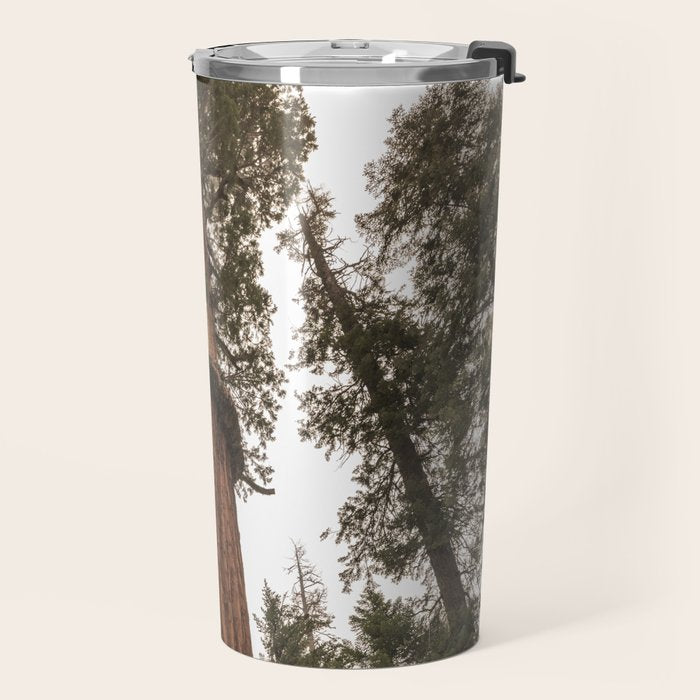 Redwoods National Park Wanderlust Adventure VI Travel Mug Gallery Image 2