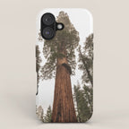 Redwoods National Park Wanderlust Adventure VI iPhone Case Gallery Image 1