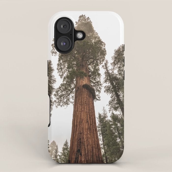 Redwoods National Park Wanderlust Adventure VI iPhone Case Gallery Image 1
