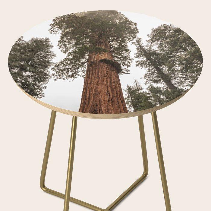 Redwoods National Park Wanderlust Adventure VI Side Table Gallery Image 2