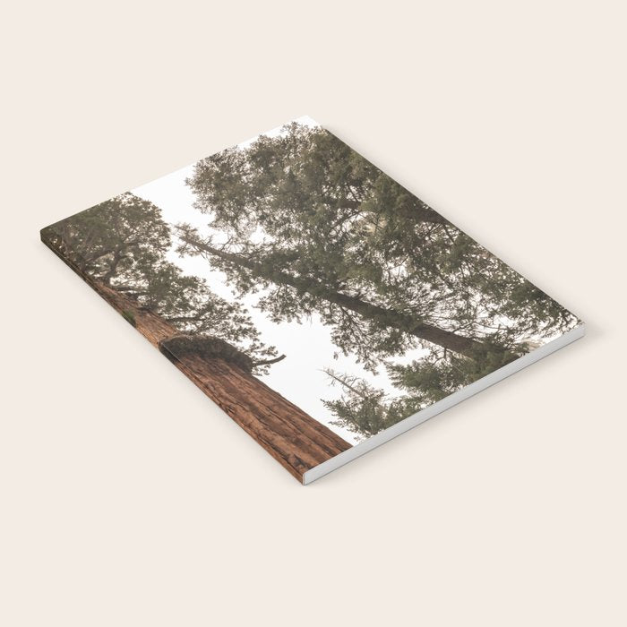 Redwoods National Park Wanderlust Adventure VI Notebook Gallery Image 2