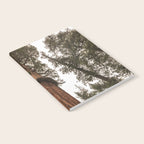 Redwoods National Park Wanderlust Adventure VI Notebook Gallery Image 2