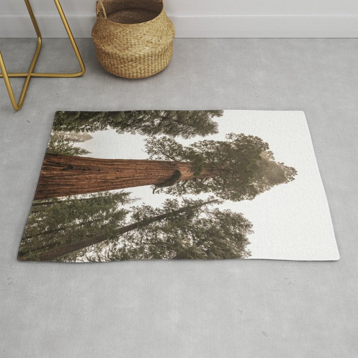 Redwoods National Park Wanderlust Adventure VI Rug Gallery Image 1