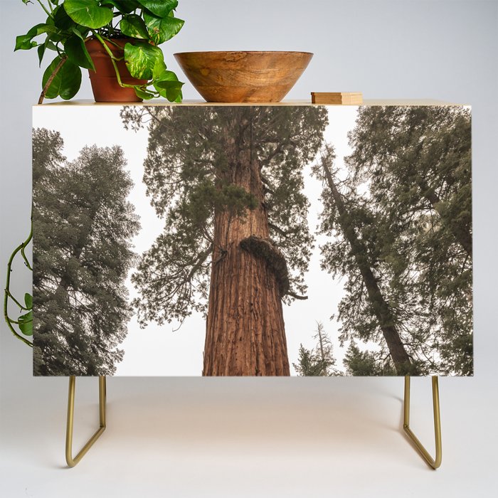 Redwoods National Park Wanderlust Adventure VI Credenza Gallery Image 1