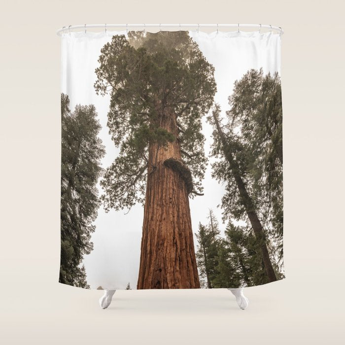 Redwoods National Park Wanderlust Adventure VI Shower Curtain Gallery Image 1