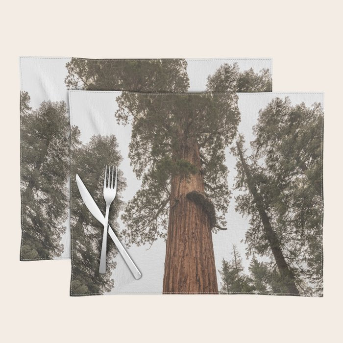 Redwoods National Park Wanderlust Adventure VI Placemat Gallery Image 1