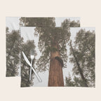 Redwoods National Park Wanderlust Adventure VI Placemat Gallery Image 1