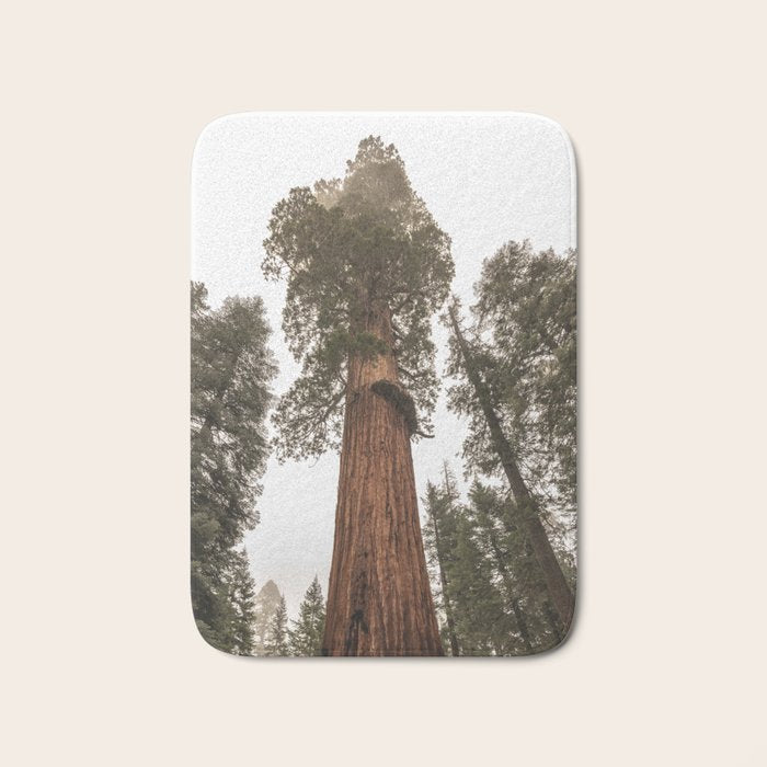 Redwoods National Park Wanderlust Adventure VI Bath Mat Gallery Image 1