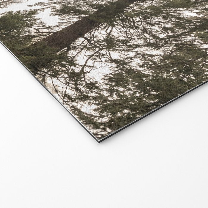 Redwoods National Park Wanderlust Adventure VI Welcome Mat Gallery Image 2