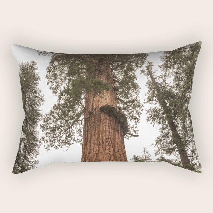 Redwoods National Park Wanderlust Adventure VI Rectangular Pillow Gallery Image 2