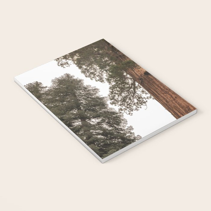 Redwoods National Park Wanderlust Adventure VI Notebook Gallery Image 3