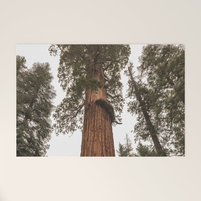 Redwoods National Park Wanderlust Adventure VI Welcome Mat Gallery Image 1