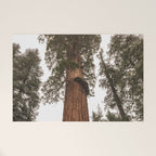 Redwoods National Park Wanderlust Adventure VI Welcome Mat Gallery Image 1