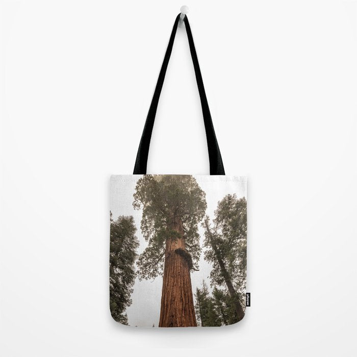 Redwoods National Park Wanderlust Adventure VI Tote Bag Gallery Image 2