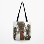 Redwoods National Park Wanderlust Adventure VI Tote Bag Gallery Image 2