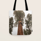 Redwoods National Park Wanderlust Adventure VI Tote Bag Gallery Image 1