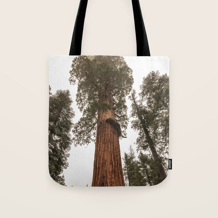 Redwoods National Park Wanderlust Adventure VI Tote Bag Gallery Image 1