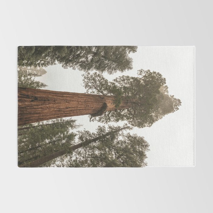 Redwoods National Park Wanderlust Adventure VI Rug Gallery Image 2