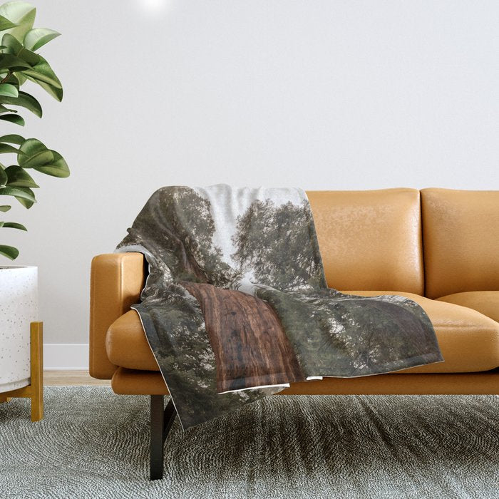 Redwoods National Park Wanderlust Adventure VI Throw Blanket Gallery Image 1
