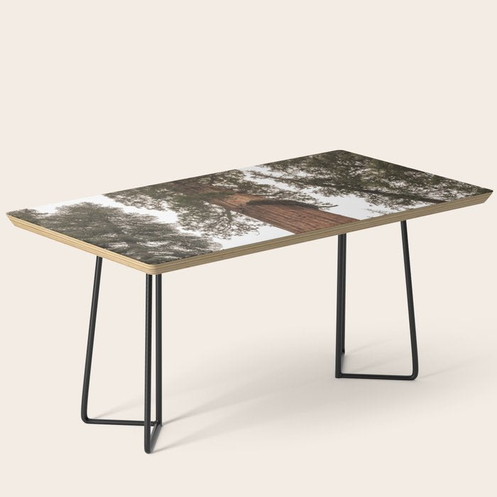 Redwoods National Park Wanderlust Adventure VI Coffee Table Gallery Image 1