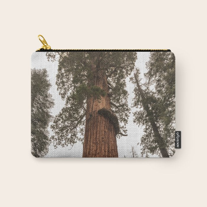 Redwoods National Park Wanderlust Adventure VI Carry All Pouch Gallery Image 1