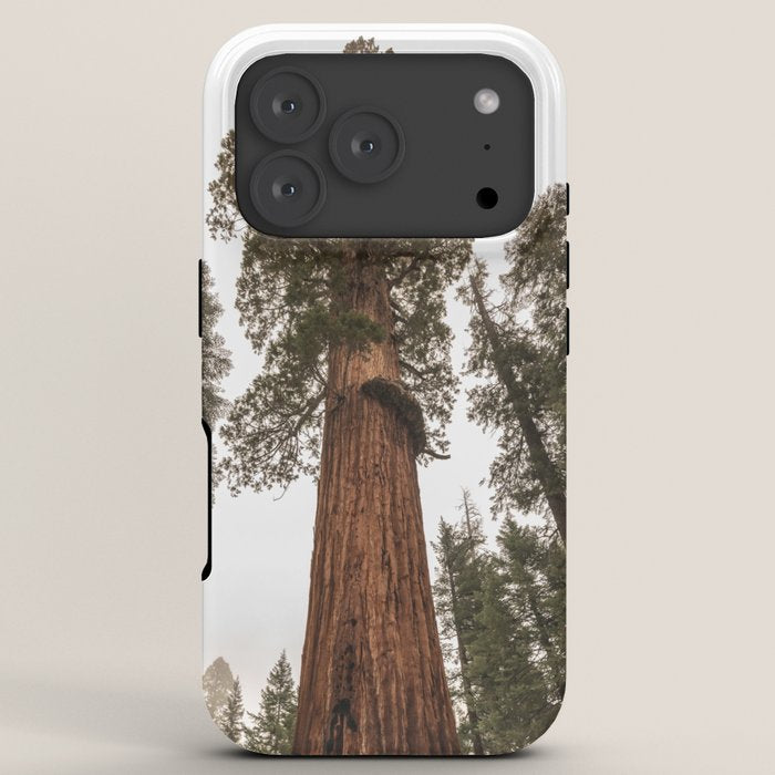Redwoods National Park Wanderlust Adventure VI iPhone Case Gallery Image 7