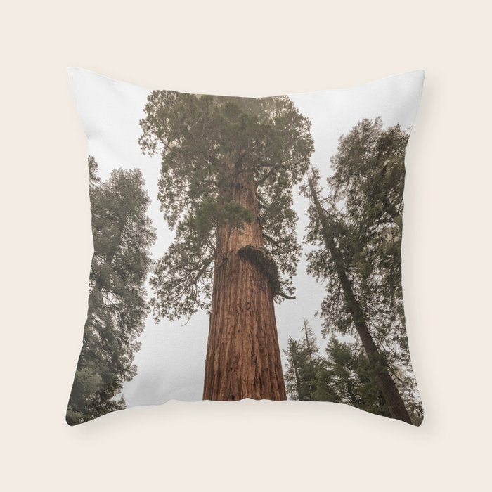 Redwoods National Park Wanderlust Adventure VI Throw Pillow Gallery Image 6