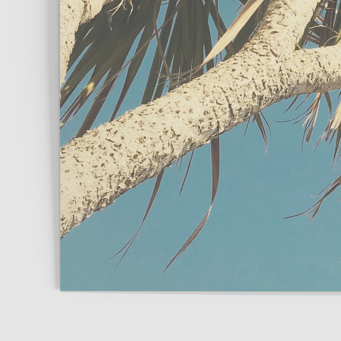 Spring Palm Poster Gallery Image 3