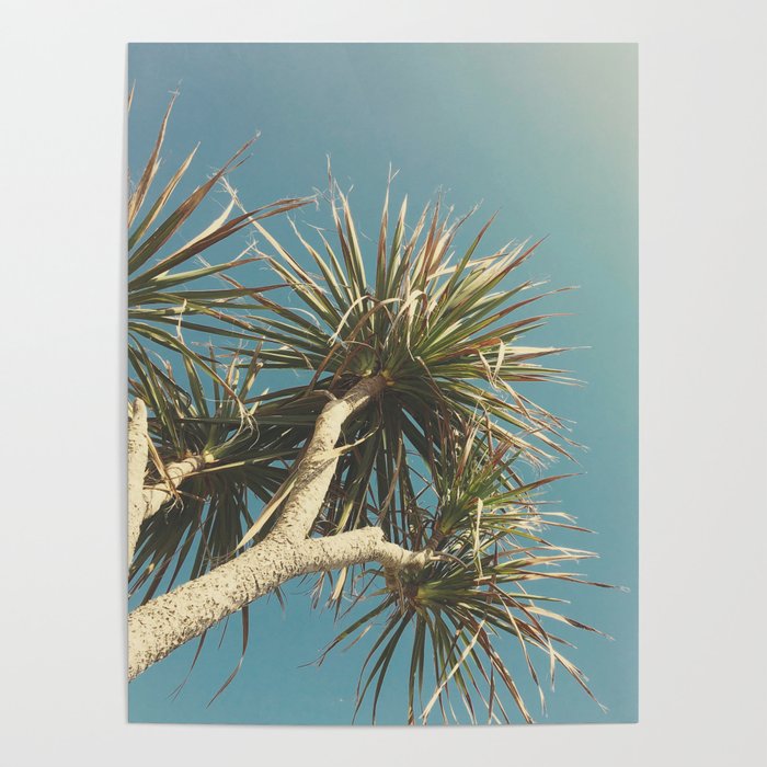 Spring Palm Poster Gallery Image 4