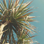 Spring Palm Coffee Mug Gallery Image 2