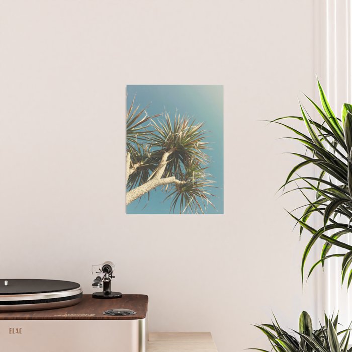 Spring Palm Poster Gallery Image 2