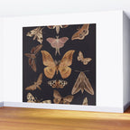 Night butterflies 2 Wall Mural Gallery Image 2