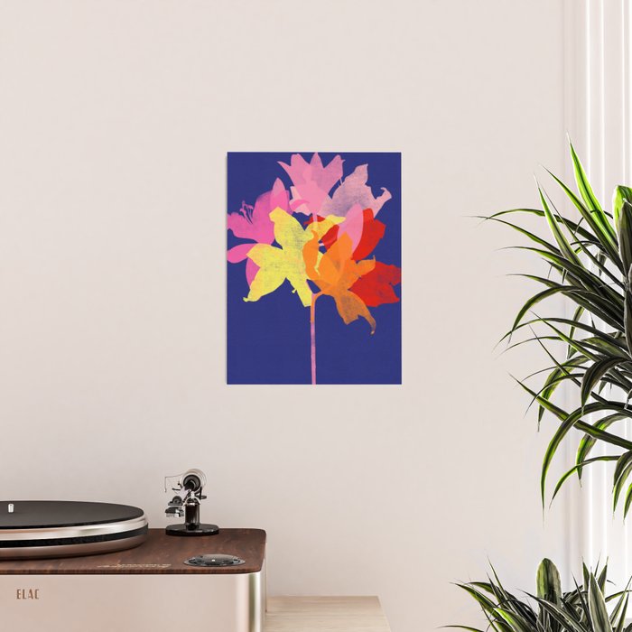 lily 41 Poster Gallery Image 2
