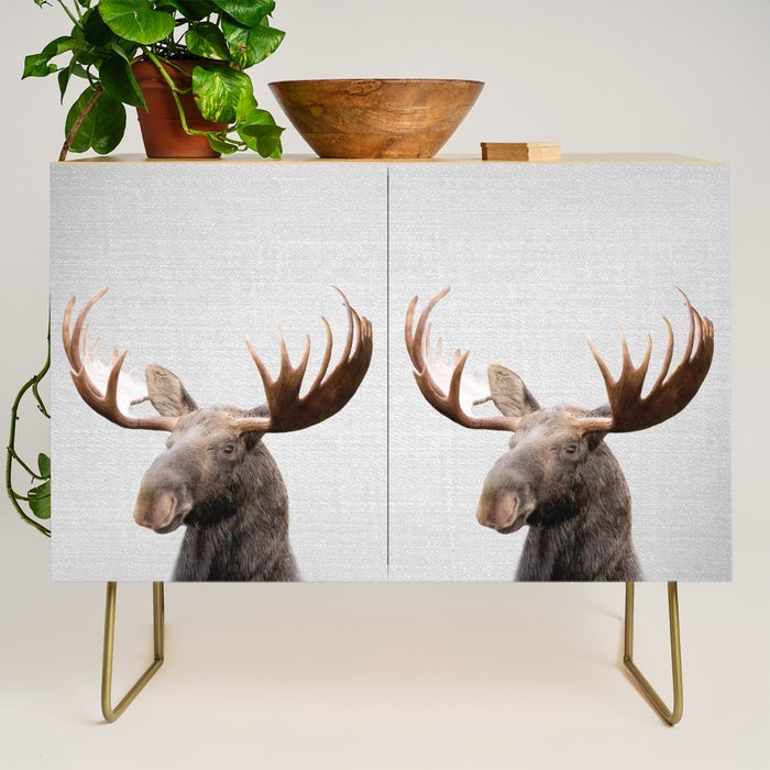 Moose - Colorful Credenza Gallery Image 1