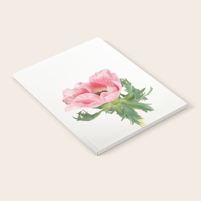Pink Anemone Notebook Gallery Image 2