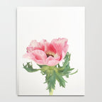 Pink Anemone Notebook Gallery Image 4