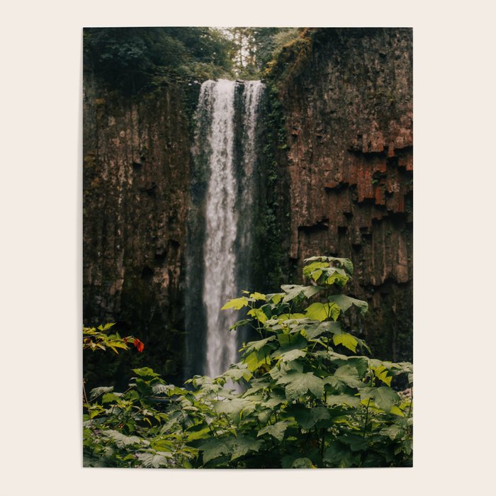 Abiqua Falls Poster Gallery Image 1