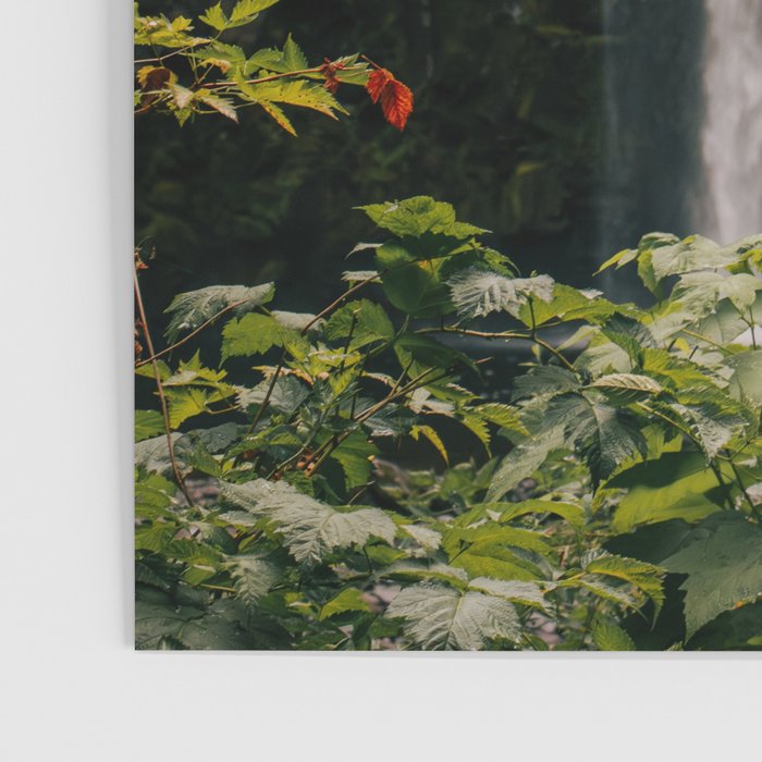 Abiqua Falls Poster Gallery Image 3