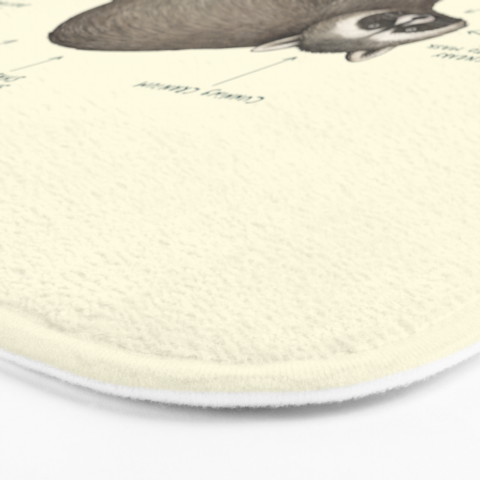 Anatomy of a Raccoon Bath Mat Gallery Image 3