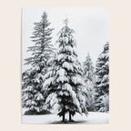 Winter Magic - Snow Covered Fir Trees Pacific Northwest Poster Gallery Image 4