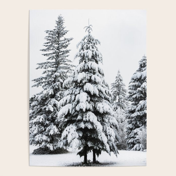 Winter Magic - Snow Covered Fir Trees Pacific Northwest Poster Gallery Image 1