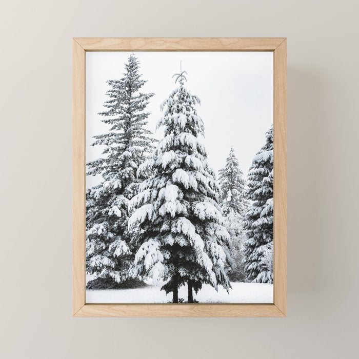 Winter Magic - Snow Covered Fir Trees Pacific Northwest Mini Art Print Gallery Image 1
