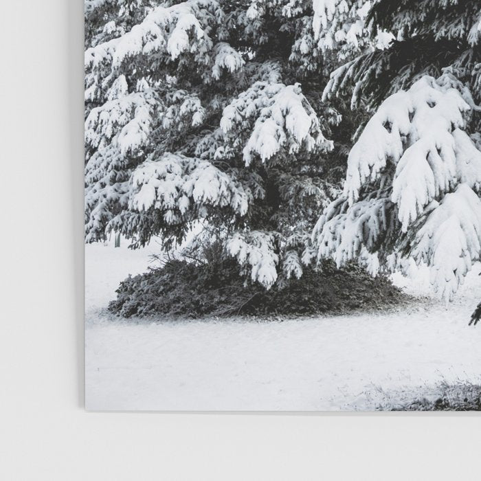 Winter Magic - Snow Covered Fir Trees Pacific Northwest Poster Gallery Image 3