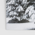 Winter Magic - Snow Covered Fir Trees Pacific Northwest Poster Gallery Image 3