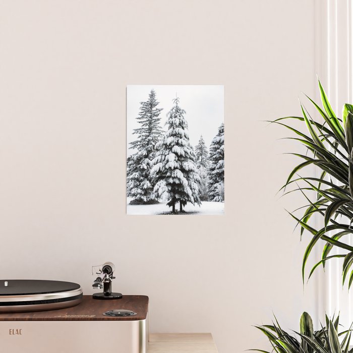 Winter Magic - Snow Covered Fir Trees Pacific Northwest Poster Gallery Image 2