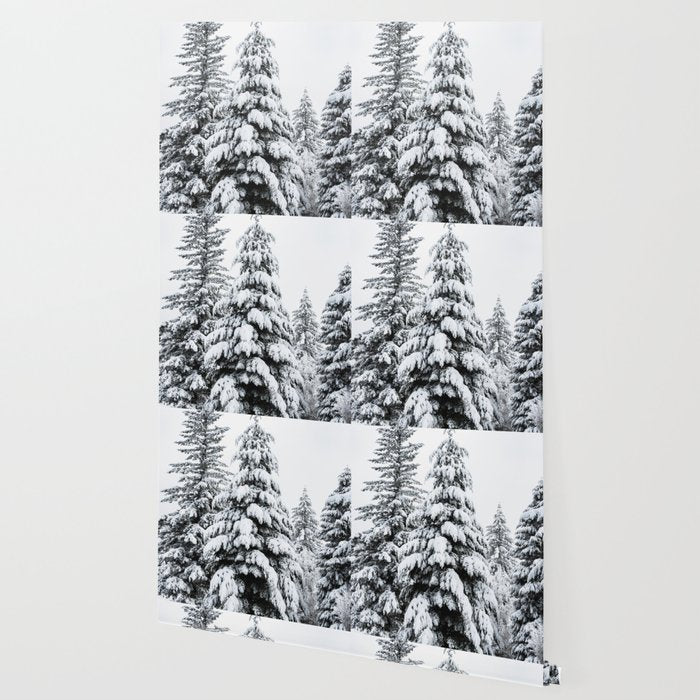 Winter Magic - Snow Covered Fir Trees Pacific Northwest Wallpaper Gallery Image 2